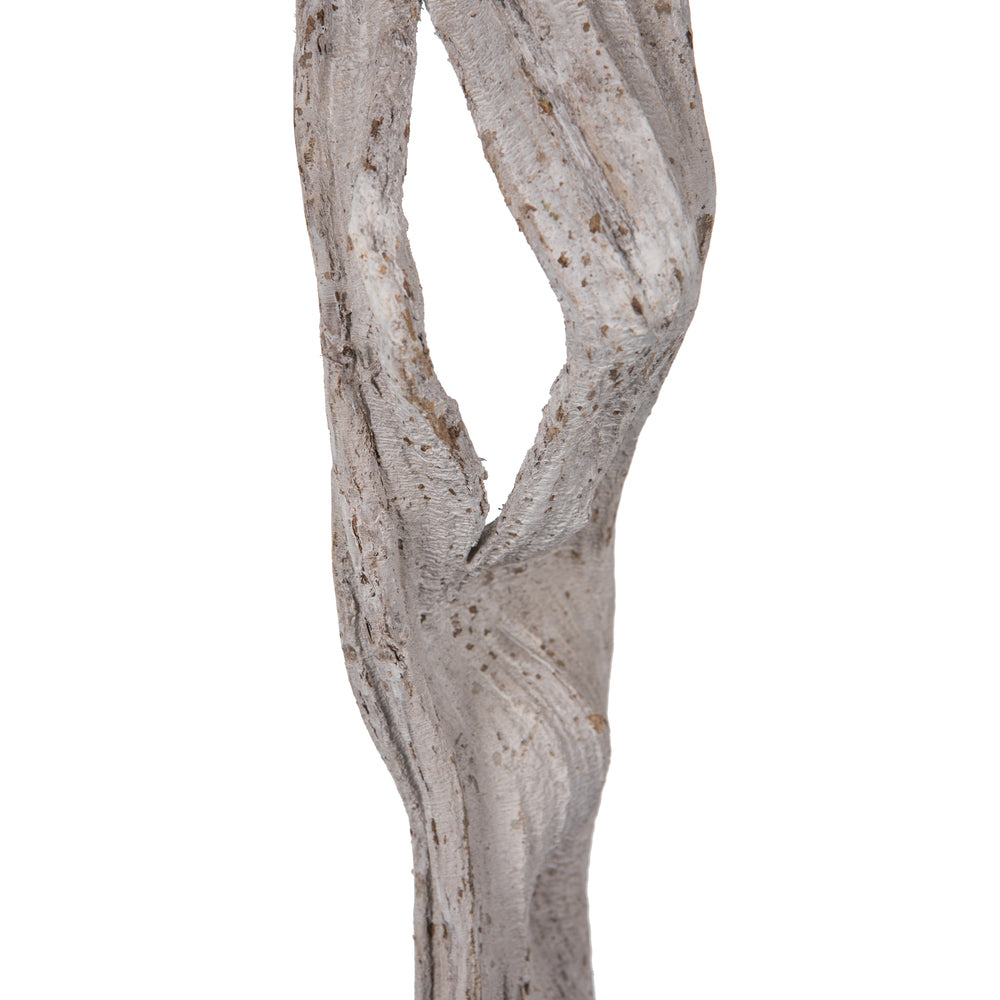 Vickerman 36-40" White Monkeys Ladder Vine Pack of 2 Dried