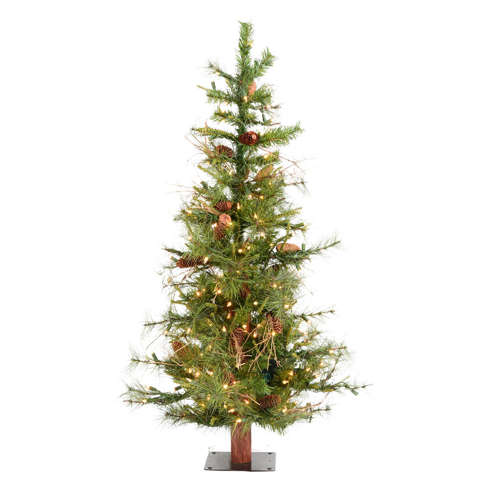 Vickerman 5' Ashland Artificial Christmas Tree Clear Dura-lit Incandescent Lights