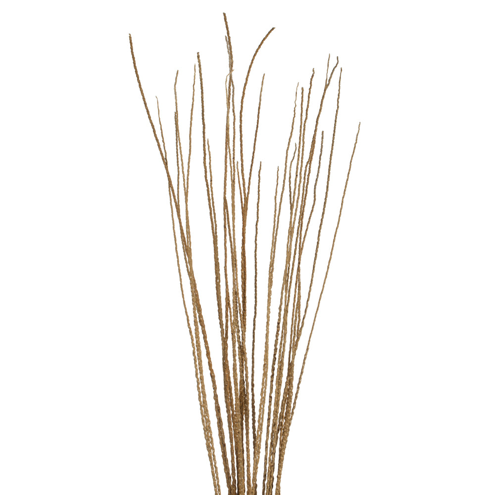 Vickerman 36-40" Ivory Caba Spine Bundle 3 pack Dried