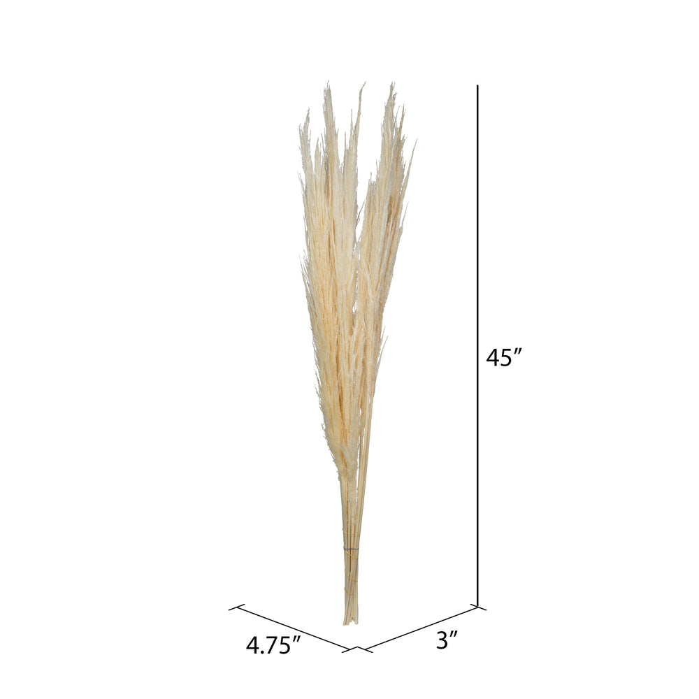 Vickerman 46" Dried Bleached Pampas Grass 6 pieces per Pack.
