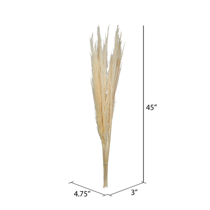 Vickerman 46" Dried Bleached Pampas Grass 6 pieces per Pack.
