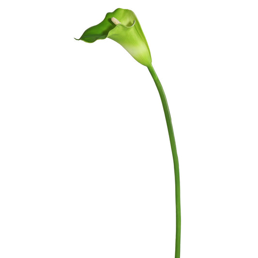Vickerman 28" Artificial White and Green Large Stem Calla Lily