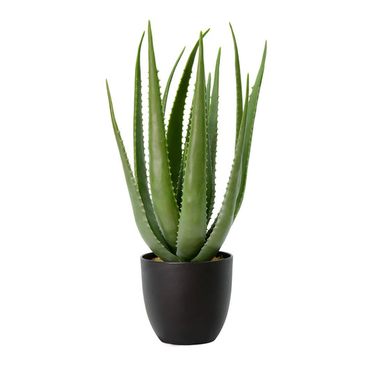 Vickerman 25" Artificial Green Potted Aloe Vera.