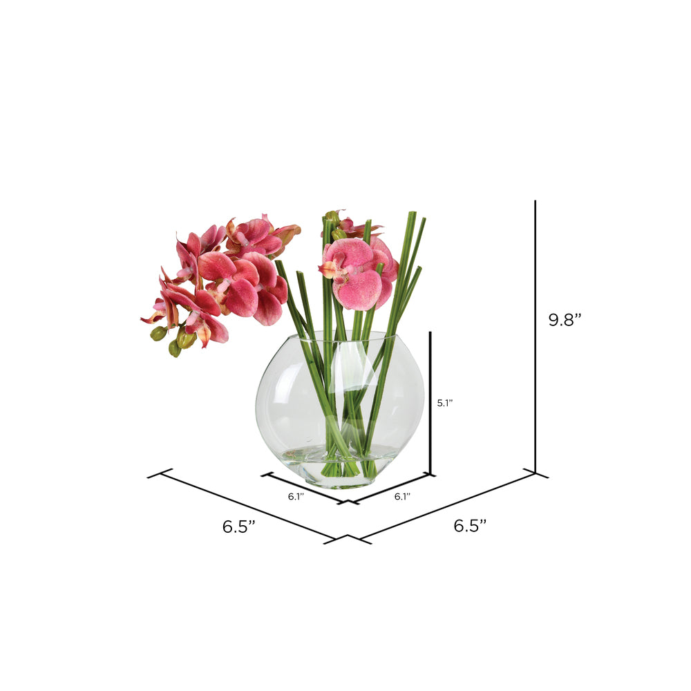 Vickerman 9.8" Artificial Pink Butterfly Orchid In Glass Pot.