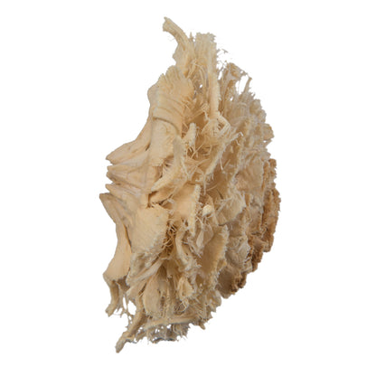 Vickerman Natural Botanicals 1.3"-1.75" Cedar Rose Bleached. Includes 50 pieces per polybag.