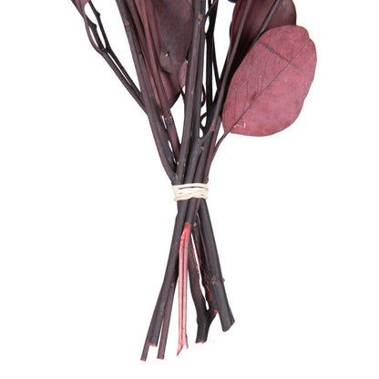 Vickerman Natural Botanicals 18-20" x 8" Eucalyptus Populus Red 100 grams per unit