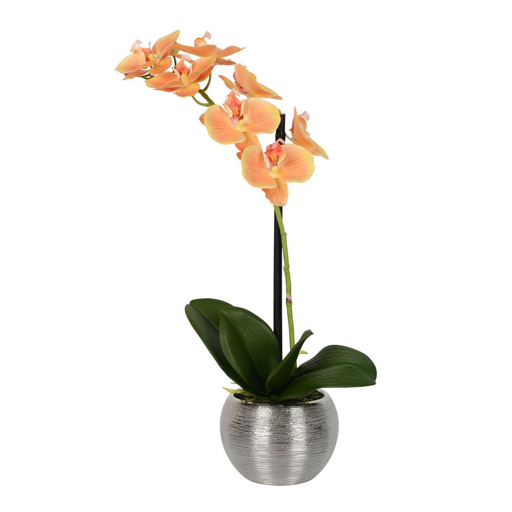 Vickerman 18" Artificial Peach Phalaenopsis In Metal Pot.