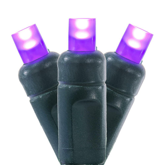 Vickerman 50 Frosted Purple Wide Angle Single Mold End-Connecting Coaxial Non-Rectified LED Light Set with 22 Gauge Green Wire, 3"x 6"x 3" Spacing, 25' Long Christmas Light Strand, Uses X6G6662 12" CSA/us Listed Rectified Power Cord. This light set has th