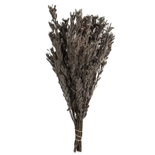 Vickerman 18-20" Silver White Pubescens 5 oz Bundle Preserved