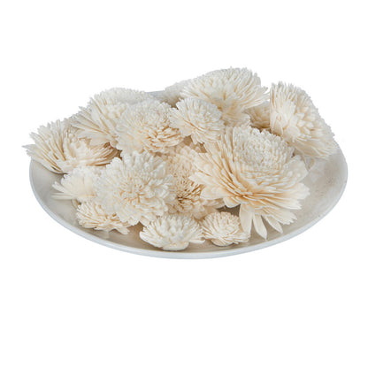 Vickerman Natural Botanicals 1.6"/2.4"/3.2" Assorted Natural Dried Zinnia Sola Flower Head 24/bag.