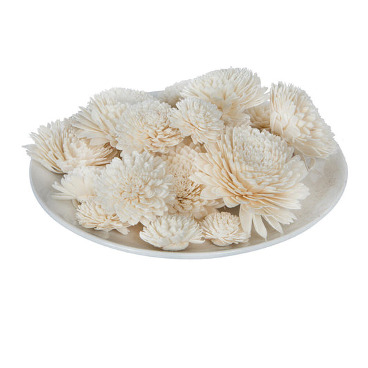 Vickerman Natural Botanicals 1.6"/2.4"/3.2" Assorted Natural Dried Zinnia Sola Flower Head 24/bag.