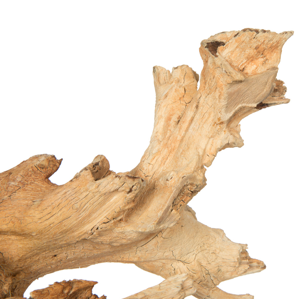 Vickerman 9-12" Bleached Roots - Amazonian Small 1 piece Dried