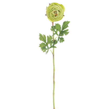 Vickerman 23" Artificial Green Ranunculus Stem Set of 4