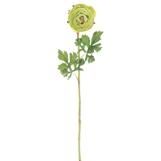 Vickerman 23" Artificial Green Ranunculus Stem Set of 4