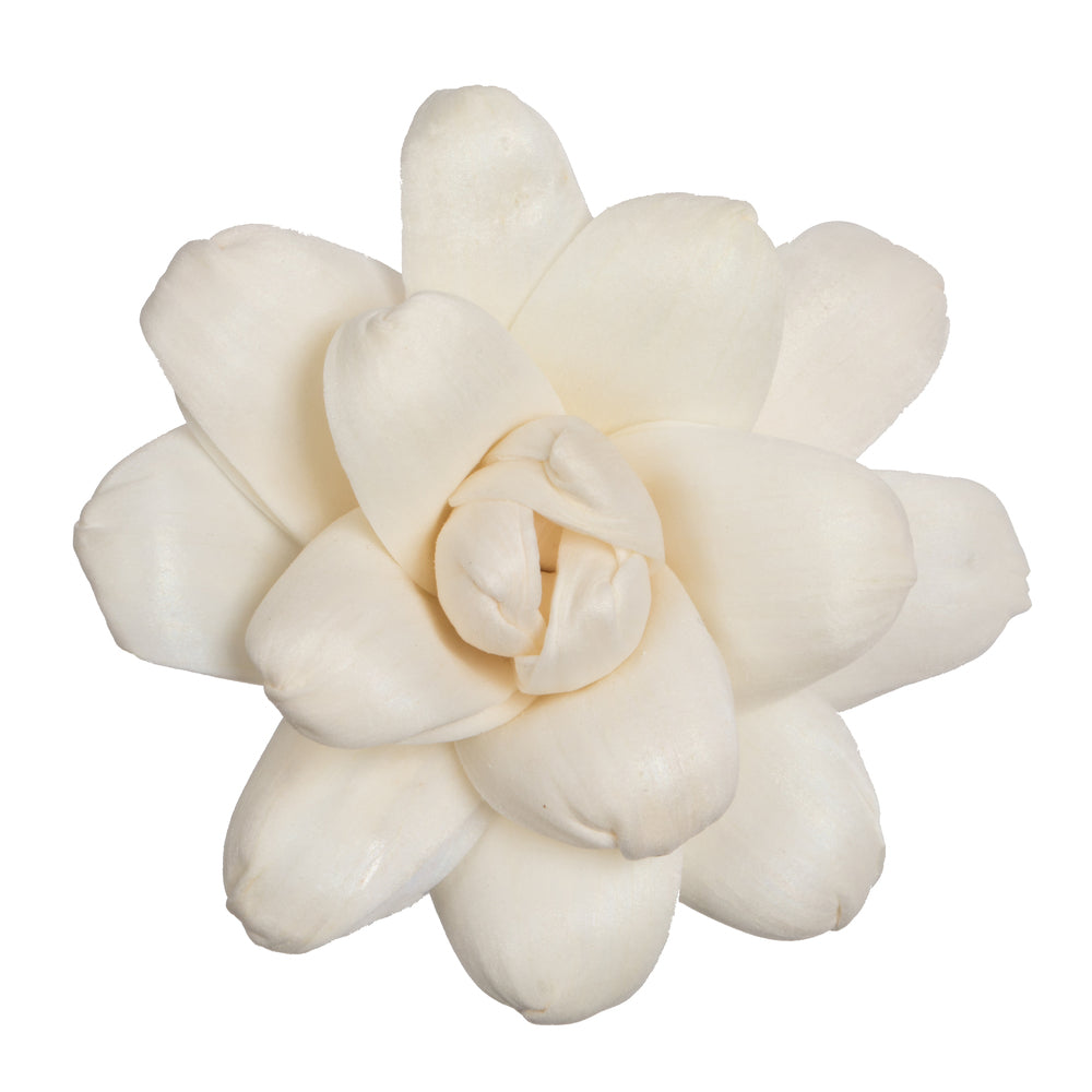 Vickerman Natural Botanicals 1.6"/2.4"/3.2" Assorted Eleanor Sola Flower Head 24 flowers/polybag.