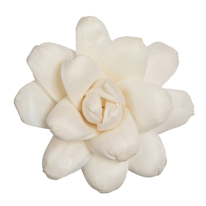 Vickerman Natural Botanicals 1.6"/2.4"/3.2" Assorted Eleanor Sola Flower Head 24 flowers/polybag.