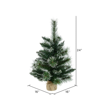 Vickerman 2' Snow Tipped Mixed Pine Artificial Christmas Tree Unlit