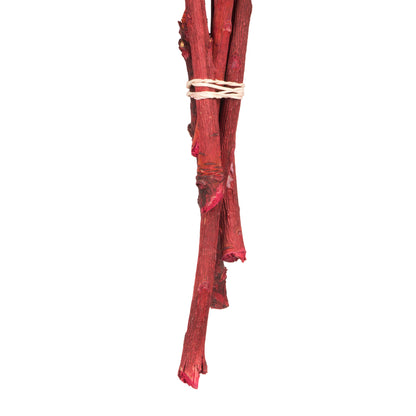 Vickerman 8-12" Red Rosette Compacta - Sleeved 5 stems Dried
