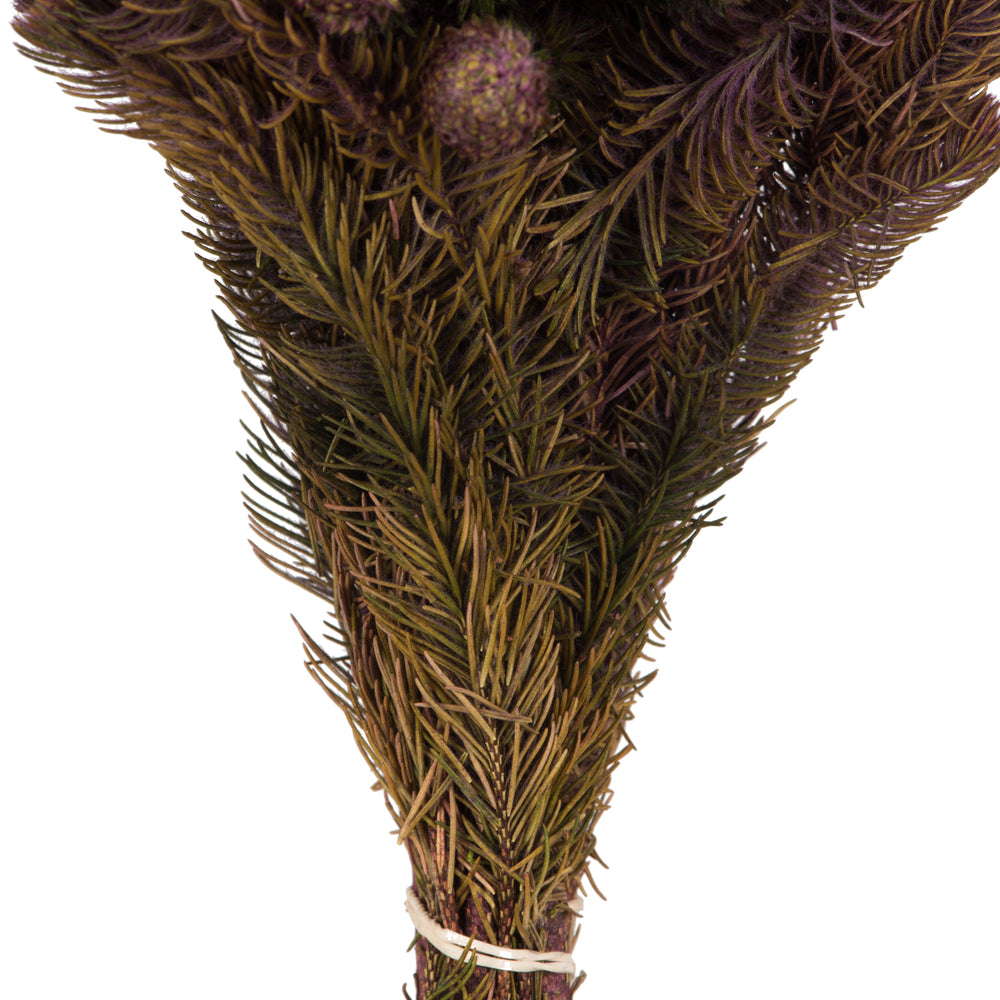 Vickerman 12-16" Violet Brunia 4 oz Bundle Preserved