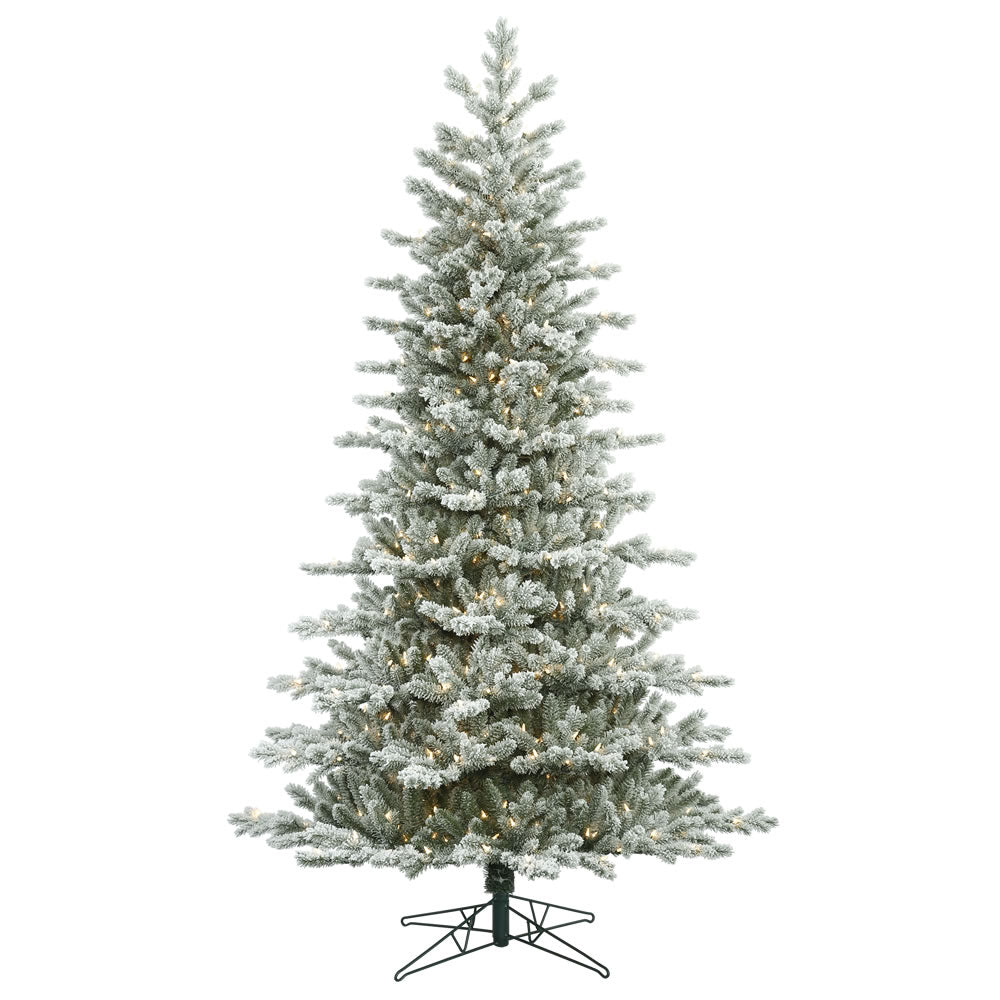 Vickerman 6.5' Frosted Eastern Fraser Fir Artificial Christmas Tree Clear Dura-lit Lights