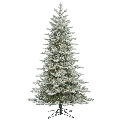 Vickerman 6.5' Frosted Eastern Fraser Fir Artificial Christmas Tree Clear Dura-lit Lights