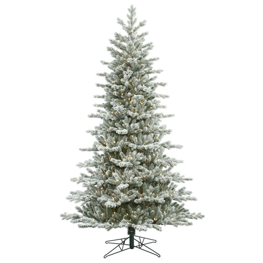 Vickerman 6.5' Frosted Eastern Fraser Fir Artificial Christmas Tree Clear Dura-lit Lights