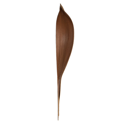 Vickerman 24-30" Natural Palm Paddle Set of 3 Dried