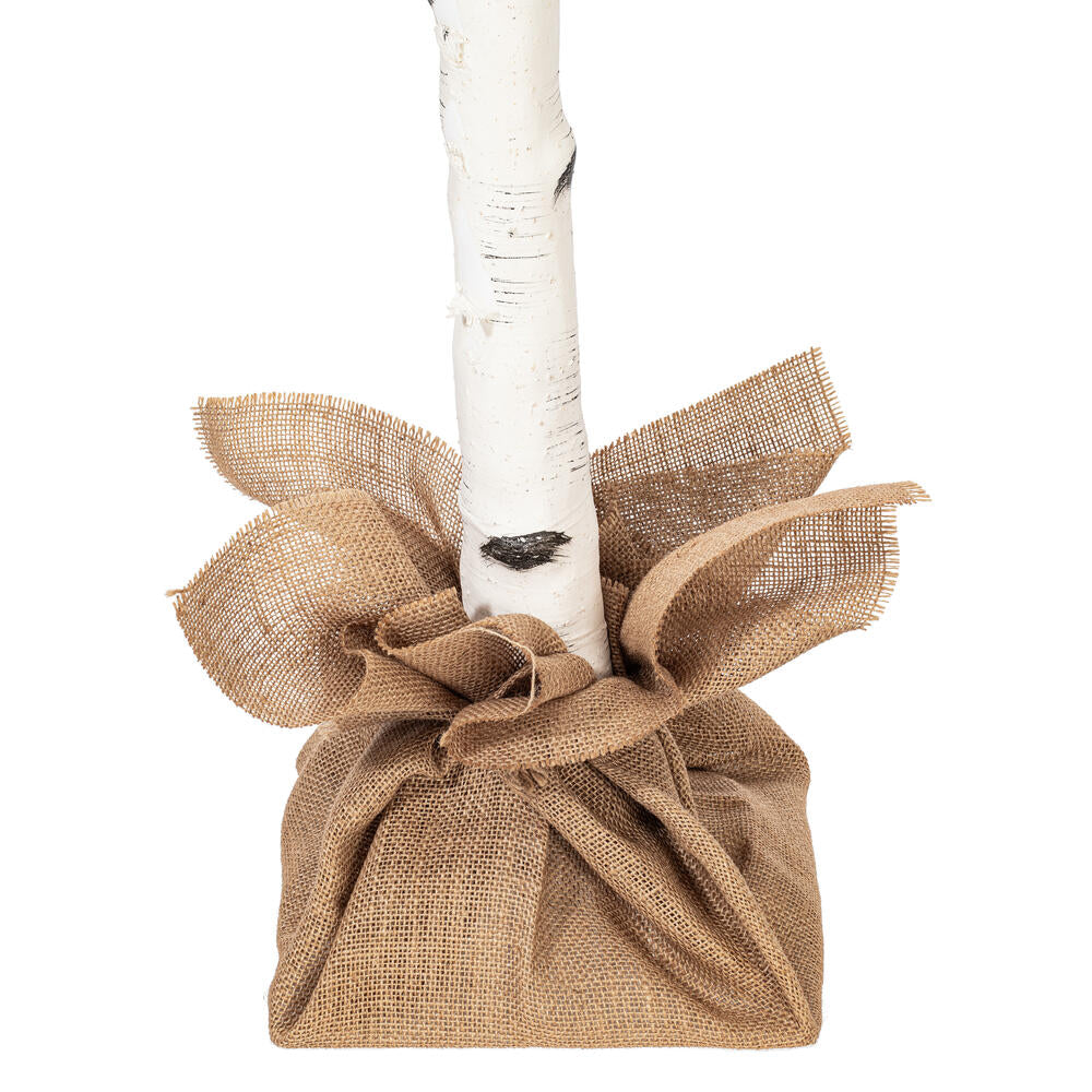 Vickerman 6' White Birch Twig Tree Warm White 3mm Wide Angle LED lights.