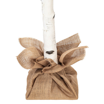 Vickerman 6' White Birch Twig Tree Warm White 3mm Wide Angle LED lights.