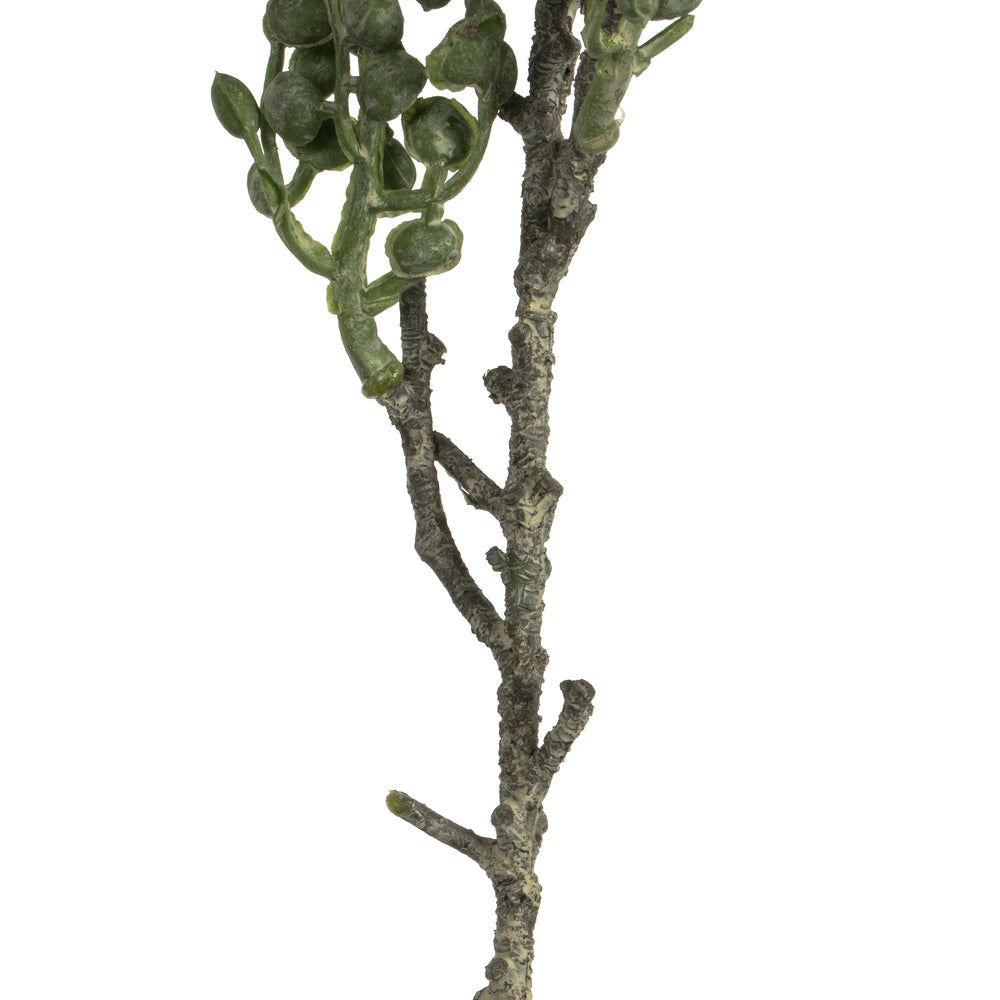 Vickerman 22" Artificial Rust Green Senecio Spray. Includes 6 sprays per pack.