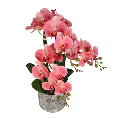 Vickerman 24" Artificial Pink Phalaenopsis In Cement Pot.