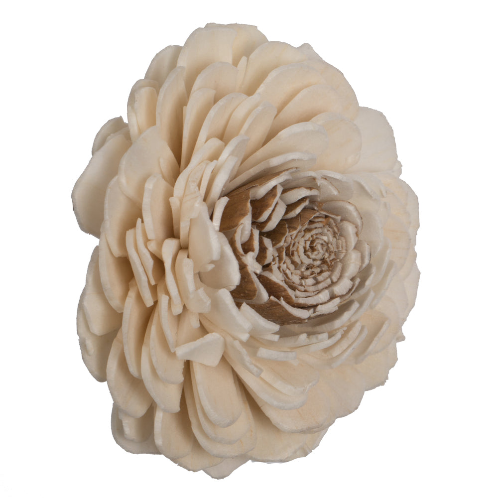 Vickerman Natural Botanicals 1.6"/2.4"/3.2" Assorted Charki Skin Sola Head 24 flowers/polybag.