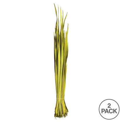 Vickerman 18-23" Basil Coco Palm Leaf Bundle.  Includes 8oz (2 -4oz Bundles) Dried