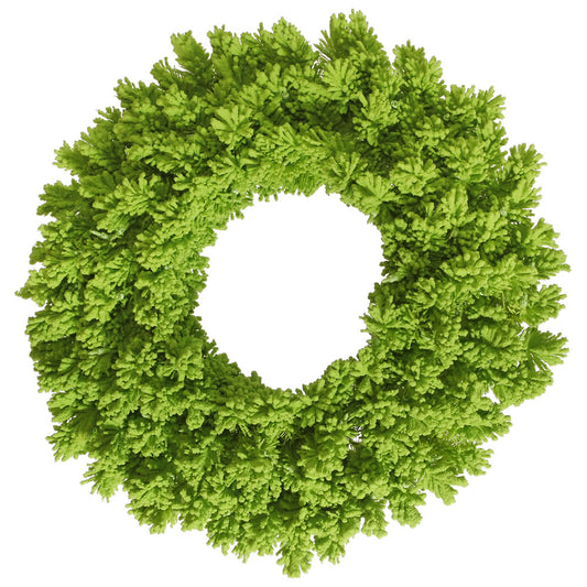 Vickerman 24" Flocked Lime Fir Artificial Christmas Wreath Unlit