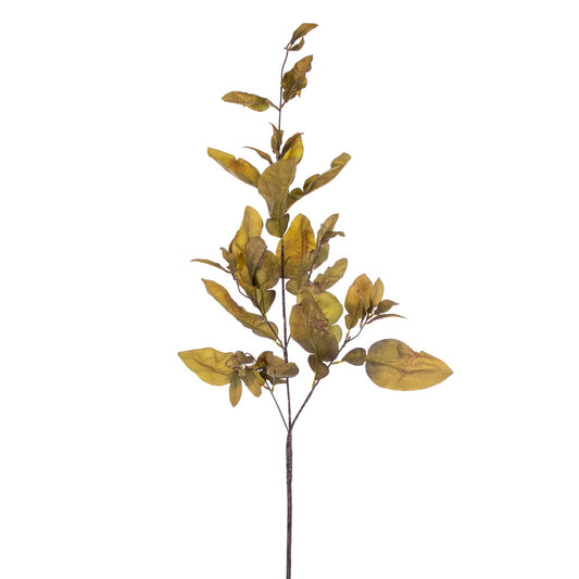 Vickerman 44.5" Green Artificial Dried Pomelo Leaves Spray 2 per bag.