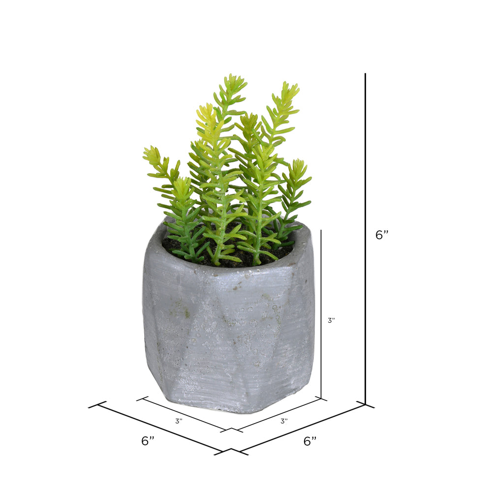 Vickerman 6" Artificial Potted Succulent Arrangements Set of 3.