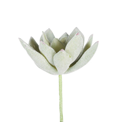 Vickerman 4" Artificial Frosted Echeveria Pick 6 per Bag