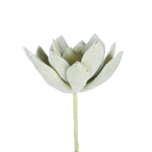 Vickerman 4" Artificial Frosted Echeveria Pick 6 per Bag