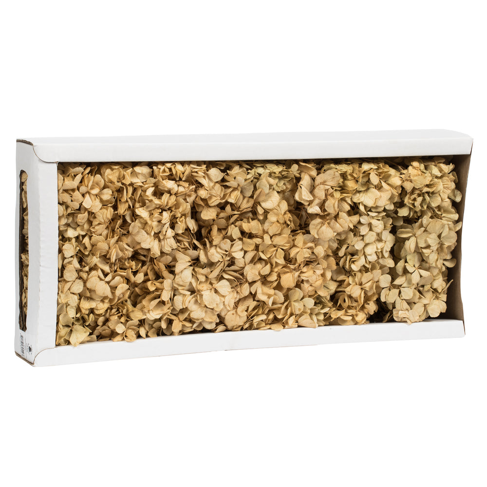 Vickerman 10 x 3 x 21" tray Natural Hydrangea Pieces. Tray multi stem Preserved