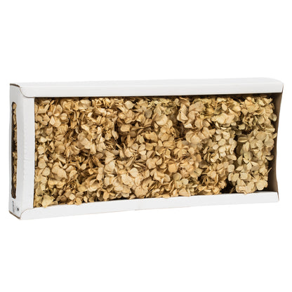 Vickerman 10 x 3 x 21" tray Natural Hydrangea Pieces. Tray multi stem Preserved