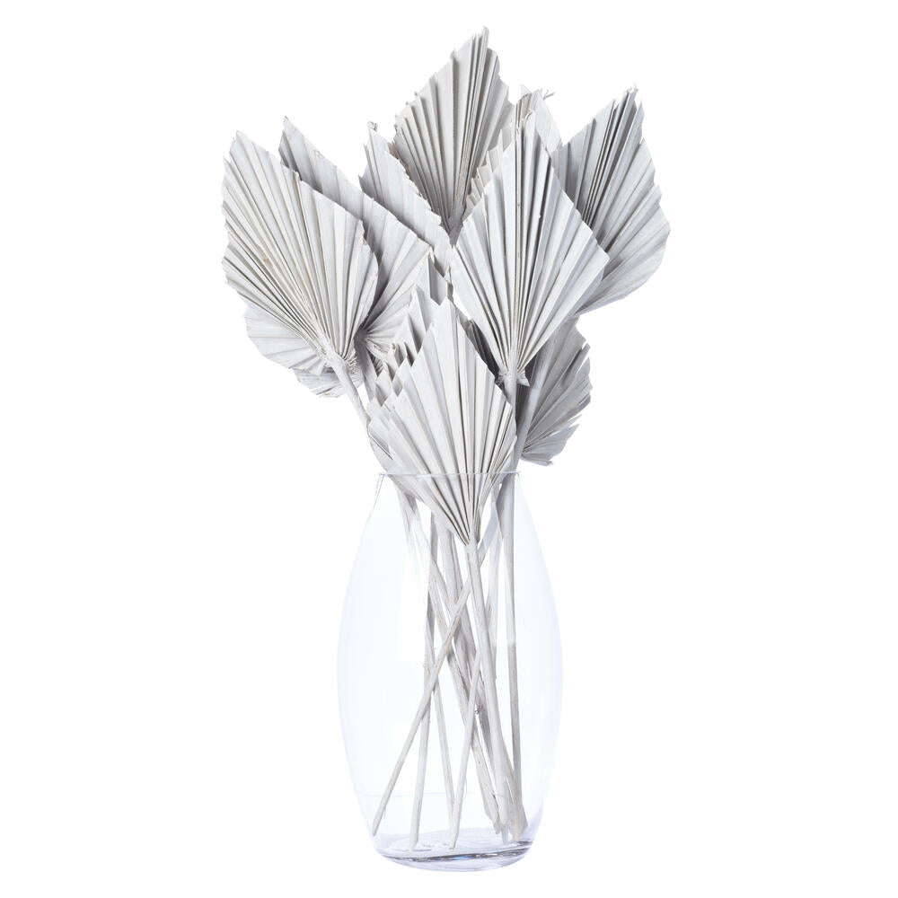 Vickerman Natural Botanicals 15.75 - 19.5" White wash Dried Palm Spear 12 per bag.