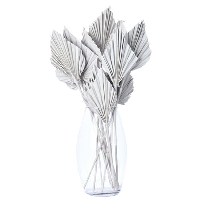 Vickerman Natural Botanicals 15.75 - 19.5" White wash Dried Palm Spear 12 per bag.