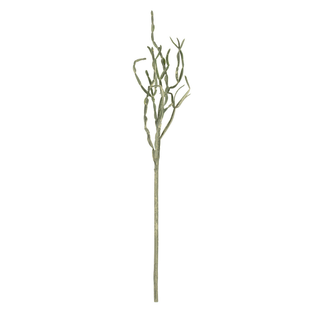 Vickerman 32" Artificial Mixed Green Haworthia Spray. Includes 6 sprays per pack.