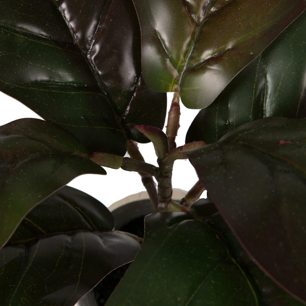 Vickerman 11" Red and Green Artificial Fiddle Leaf Fig Plant in Pot.