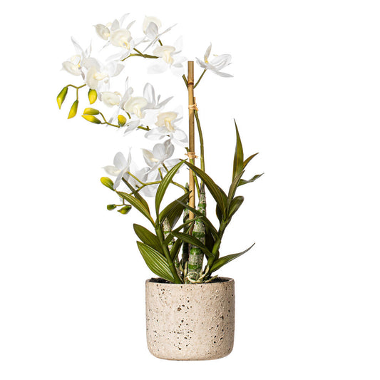 Vickerman 19" Artificial White Deluxe Potted Cycnoches Orchid.