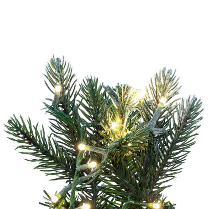Vickerman 24" Frosted Douglas Fir Artificial Pre-Lit Wreath Warm White 3mm LED Wide Angle Lights.