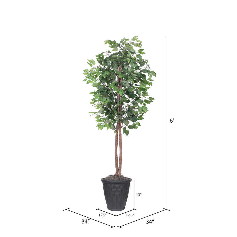Vickerman 6' Artificial Ficus Tree Gray Round Plastic Container.
