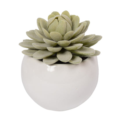 Vickerman 3.5" Artificial Green Succulents Assorted Set in Containers 4/pk