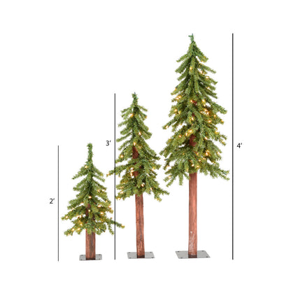 Vickerman 2' 3' 4' Natural Alpine Artificial Christmas Tree Set Warm White LED Lights Set of 3