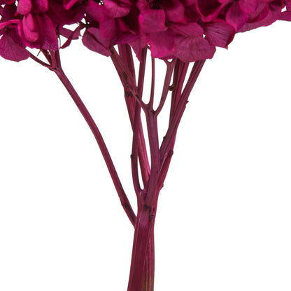 Vickerman 15" Merlot Hydrangea with Multiple Branch Segments. Preserved